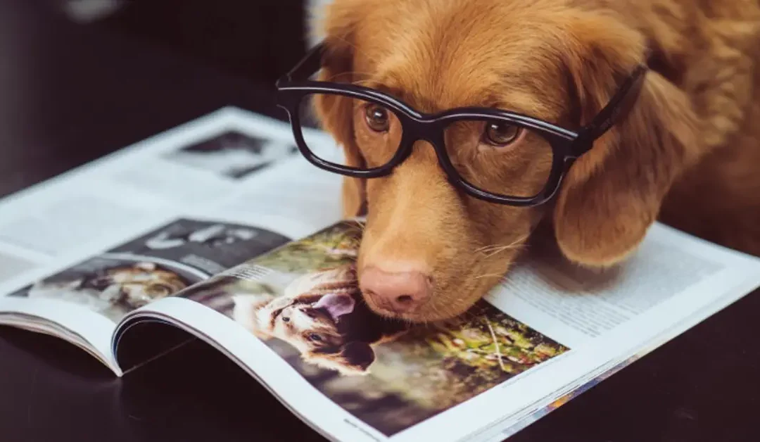 Have You Learned Animal Telepathy Yet?
