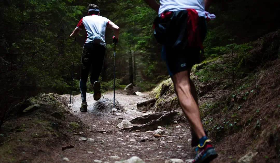 5 Benefits of Having Leaders As Mentors